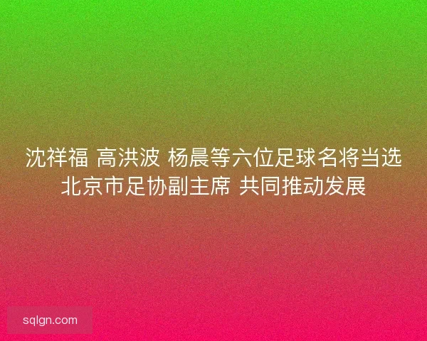 沈祥福 高洪波 杨晨等六位足球名将当选北京市足协副主席 共同推动发展