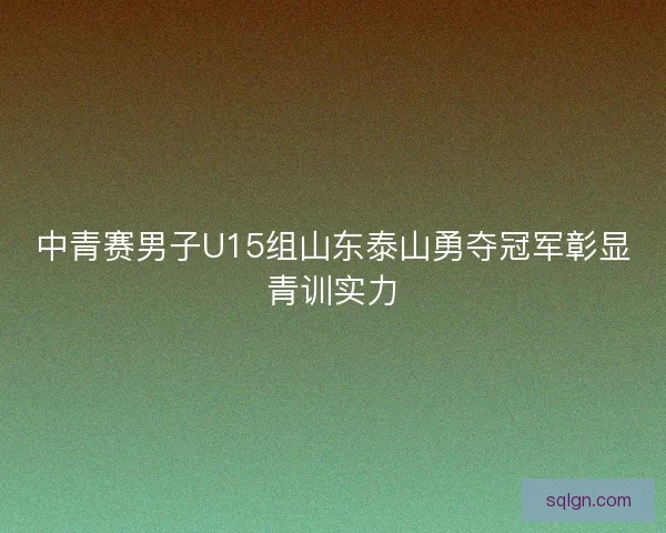 中青赛男子U15组山东泰山勇夺冠军彰显青训实力