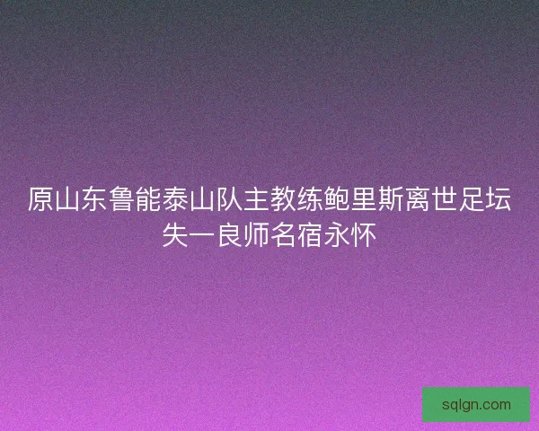 原山东鲁能泰山队主教练鲍里斯离世足坛失一良师名宿永怀