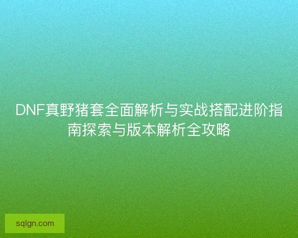 DNF真野猪套全面解析与实战搭配进阶指南探索与版本解析全攻略